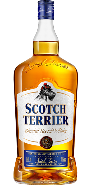 SCOTCH TERRIER 1.5 4629113