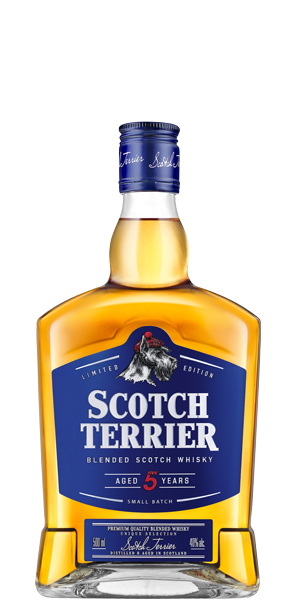 SCOTCH TERRIER 5 ЛЕТ 0.5 4736731