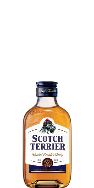 SCOTCH TERRIER 0.1 4122342