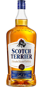 SCOTCH TERRIER 1.5 4629113