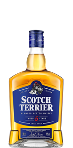 SCOTCH TERRIER 5 ЛЕТ 0.5 4736731